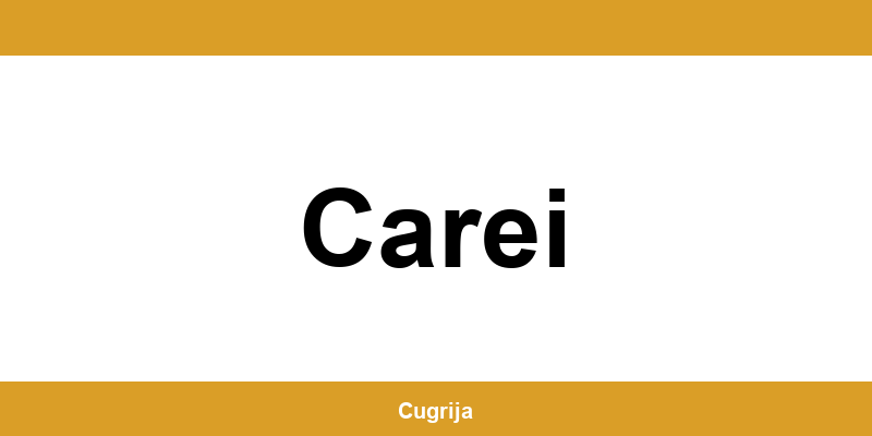 Contact imediat cu punctul Cargus Ship & Go din Carei