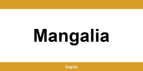 Contact imediat cu punctul Cargus Ship & Go din Mangalia