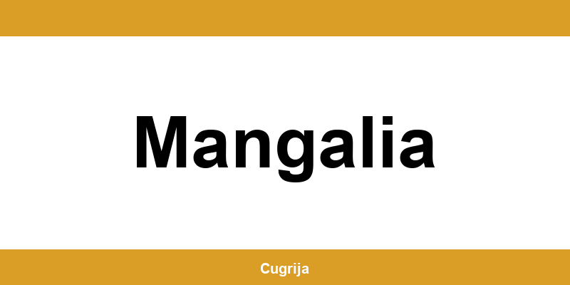 Contact imediat cu punctul Cargus Ship & Go din Mangalia